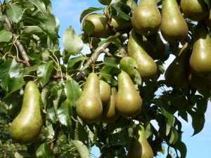 13thSeptember2012 005