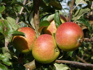 13thSeptember2012 024