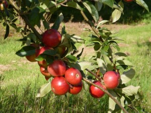 13thSeptember2012 028