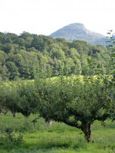 13thSeptember2012 035