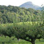 13thSeptember2012 035