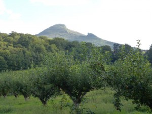 13thSeptember2012 036