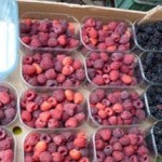 13thSeptember2012 043