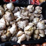 13thSeptember2012 046