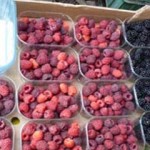 Raspberries