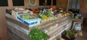 Grown in Wales Llanvihangel Curcorney Fruit Farm 2