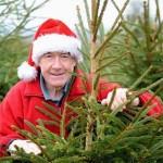 Grown in Wales Cymru Christmas Trees 1