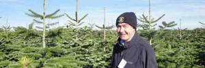 Grown in the UK Cymru Christmas Trees 1