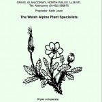 Grown in Wales Aberconwy Nursery 1