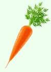 carrot with top