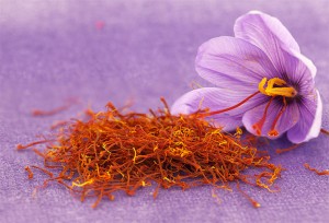Grown in Wales British Saffron 1