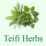Grown in Wales Teifi Herbs 1