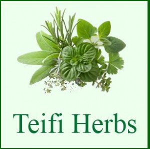 Grown in Wales Teifi Herbs 1