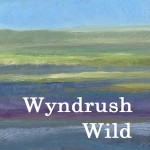 Grown in Wales Wyndrush Wild 7
