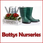 Grown in Wales Battys Nurseries 1