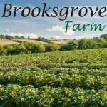 Grown in Wales Brooksgrove Farm 1