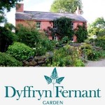 Grown in Wales Dyffryn Fernant 1