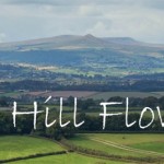 Grown in Wales Far Hill Flowers 3
