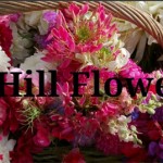 Grown in Wales Far Hill Flowers 4