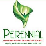 Perennial 1