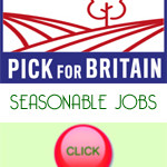 Grown in the UK Pick for Britain 1