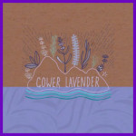 Grown in Wales Gower Lavender 3