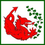 Grown in Wales Dragon Microgreens 1