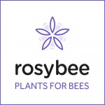 Grown in England  Rosybee 1
