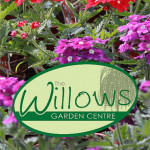 Grown in the UK .Willows Garden Centre
