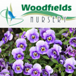 Grown in the UK .Woodfields Nursery