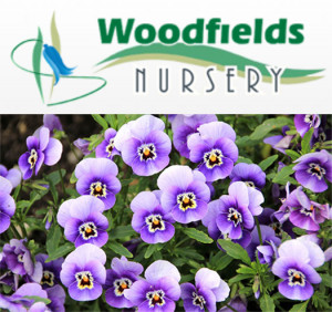 Grown in the UK .Woodfields Nursery