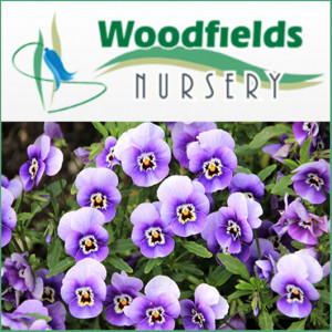 Grown in the UK .Woodfields Nursery