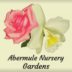 Grown in the UK Abermule Nursery Gardens