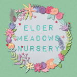 Grown in the UK Elder Meadows Nursery