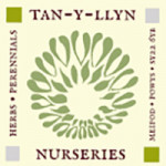 Grown in the UK Tan-y-Llyn Nurseries