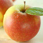 Grownin the UK One Planet Organics 12A